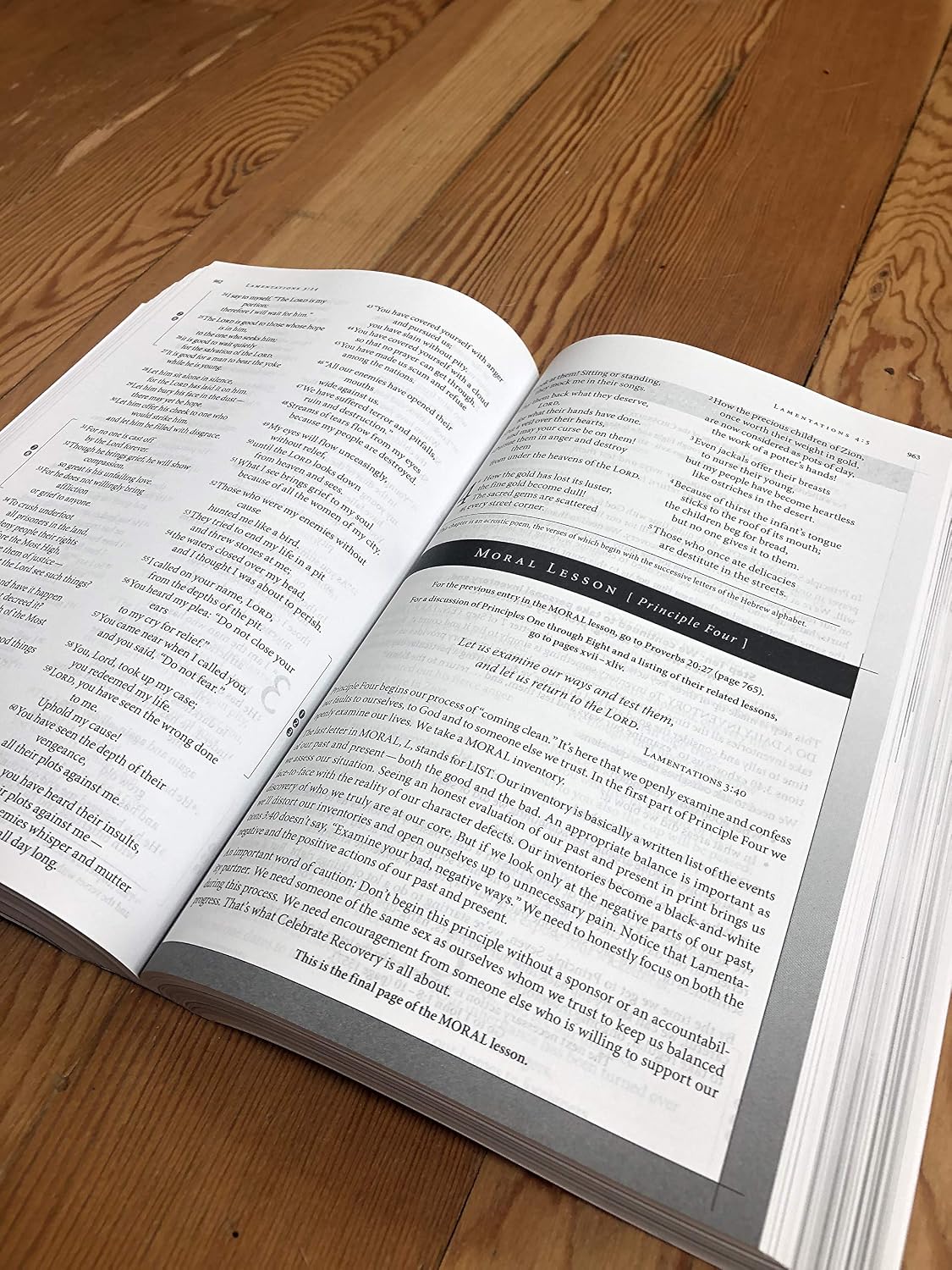 NVI, Biblia de Estudio Celebrate Recovery
