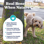 Solid Gold Berry Balance - Suplemento de Arándano Rojo para Perros con Antioxidantes (Polvo 100g, Sabor Arándano)
