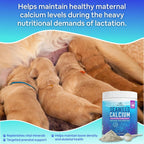 Calcio de Algas Marinas para Perros y Gatos - Suplemento con 72 Minerales Traza, 397 g (14 oz)