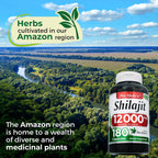 FITO MEDIC'S Lab | Shilajit | Cápsulas de Shilajit | 180 Cápsulas