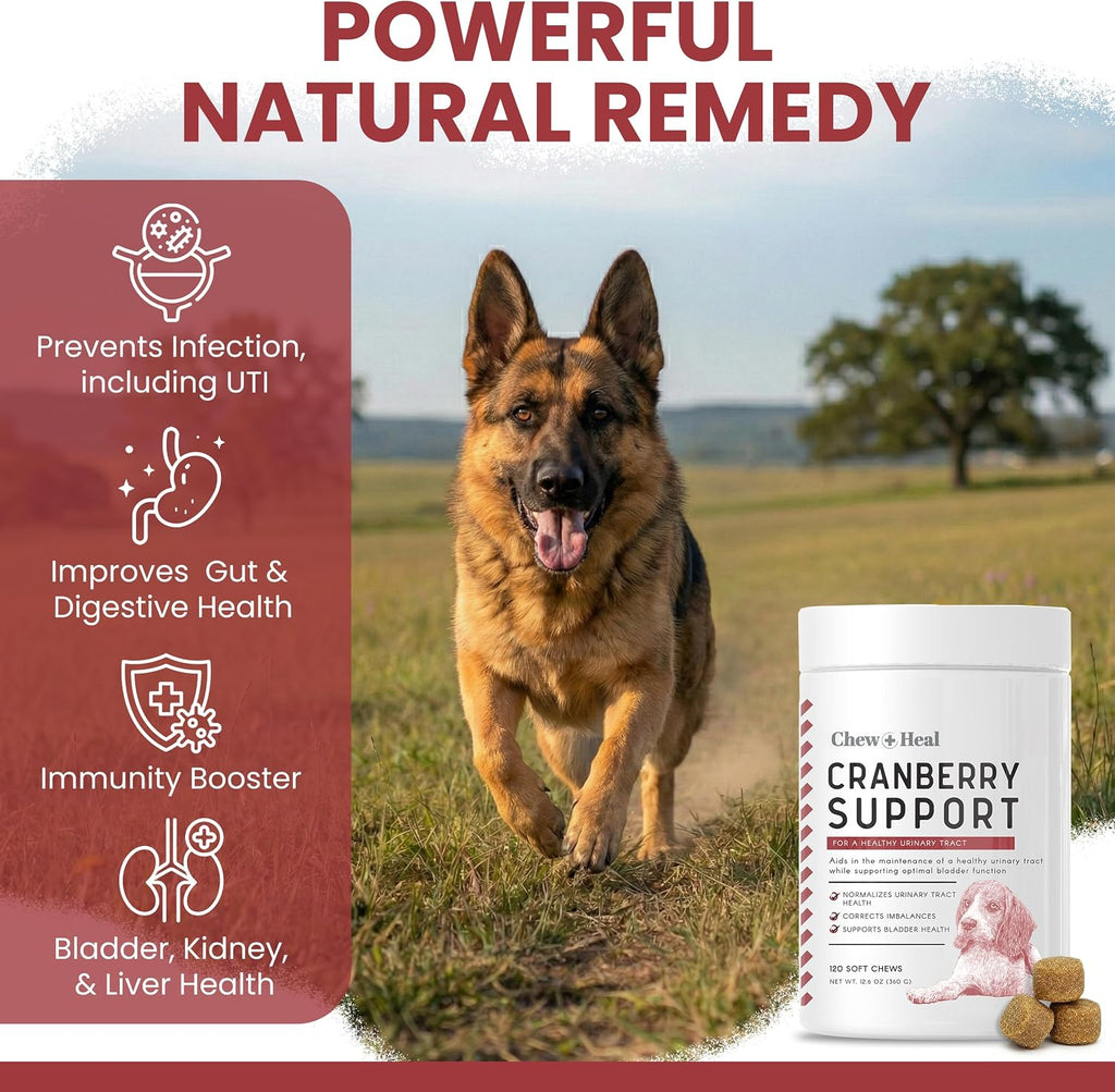 Suplemento de Arándano para Perros - 120 Snacks Blandos - Apoyo Urinario Natural