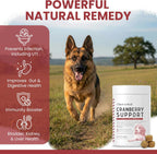 Suplemento de Arándano para Perros - 120 Snacks Blandos - Apoyo Urinario Natural