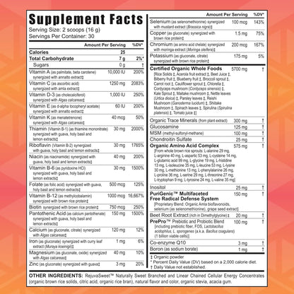Youngevity Beyond Tangy Tangerine 2.0 Citrus Peach Fusion - Complejo Multivitamínico y Mineral – Image 2