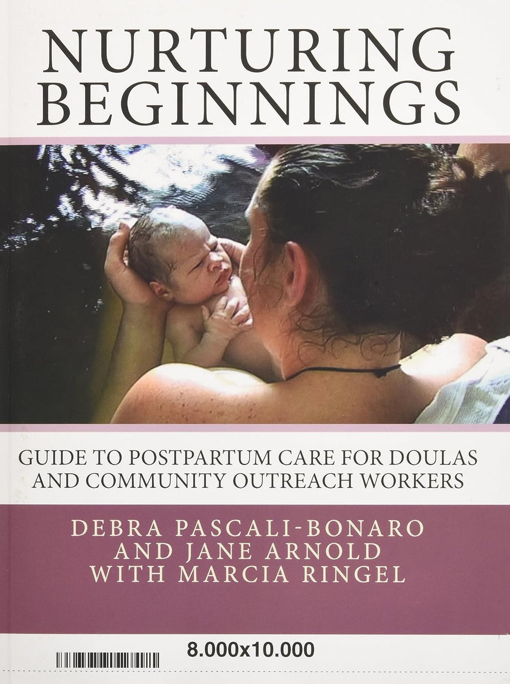 Nurturing Beginnings: Guía de cuidados posparto para doulas y trabajadores comunitarios