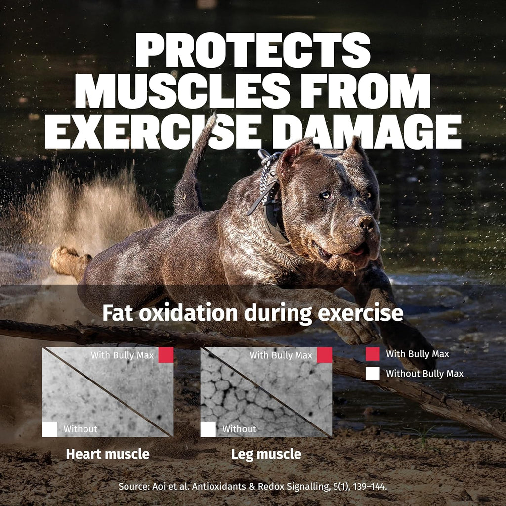 Bully Max 3-en-1 Líquido Constructor Muscular para Perros y Cachorros - Vitaminas y Suplementos Caninos