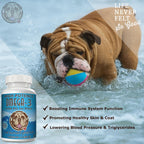 ScruffyPet Aceite de Pescado Salvaje Omega 3 Puro para Perros con Vitamina E - 180 Cápsulas
