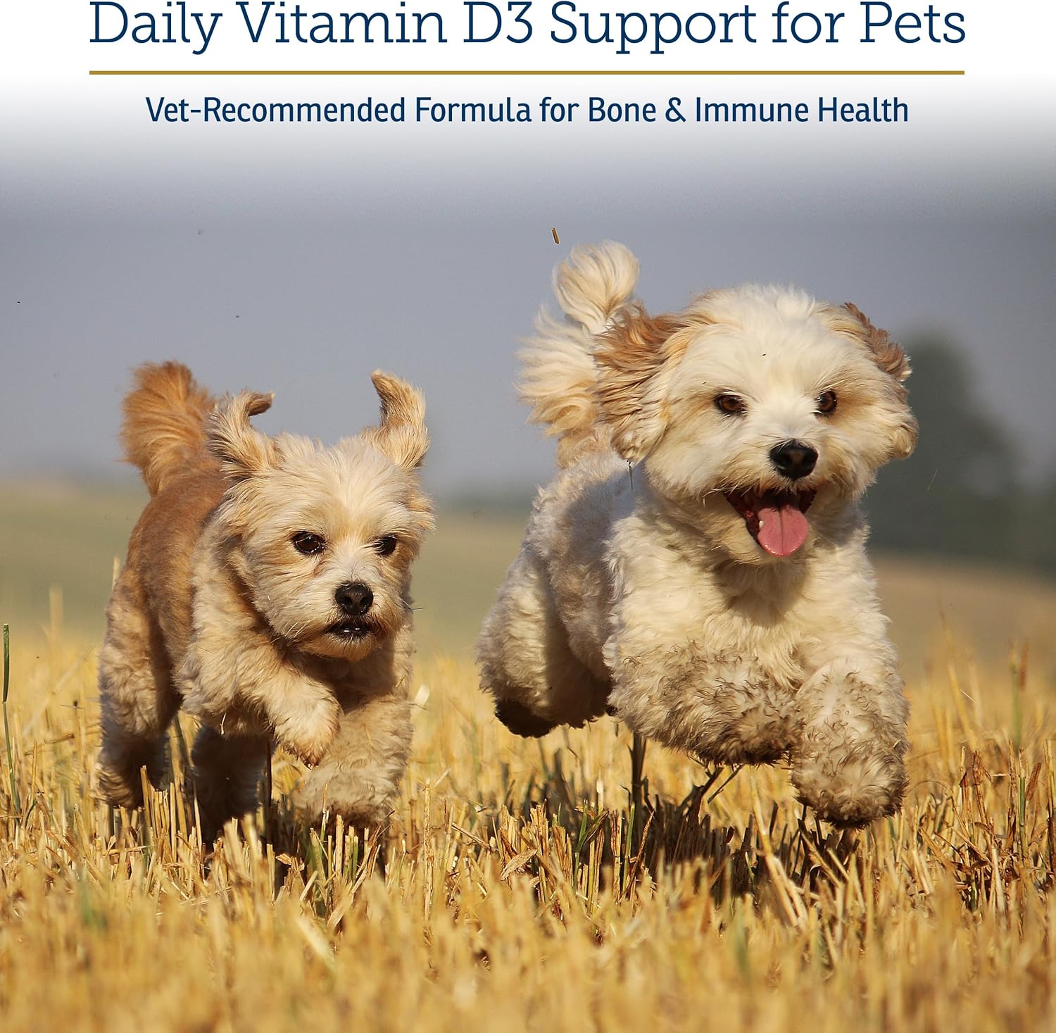 Rx Vitamins Rx D3 - Gotas de vitamina D3 para perros y gatos en aceite MCT (59ml)