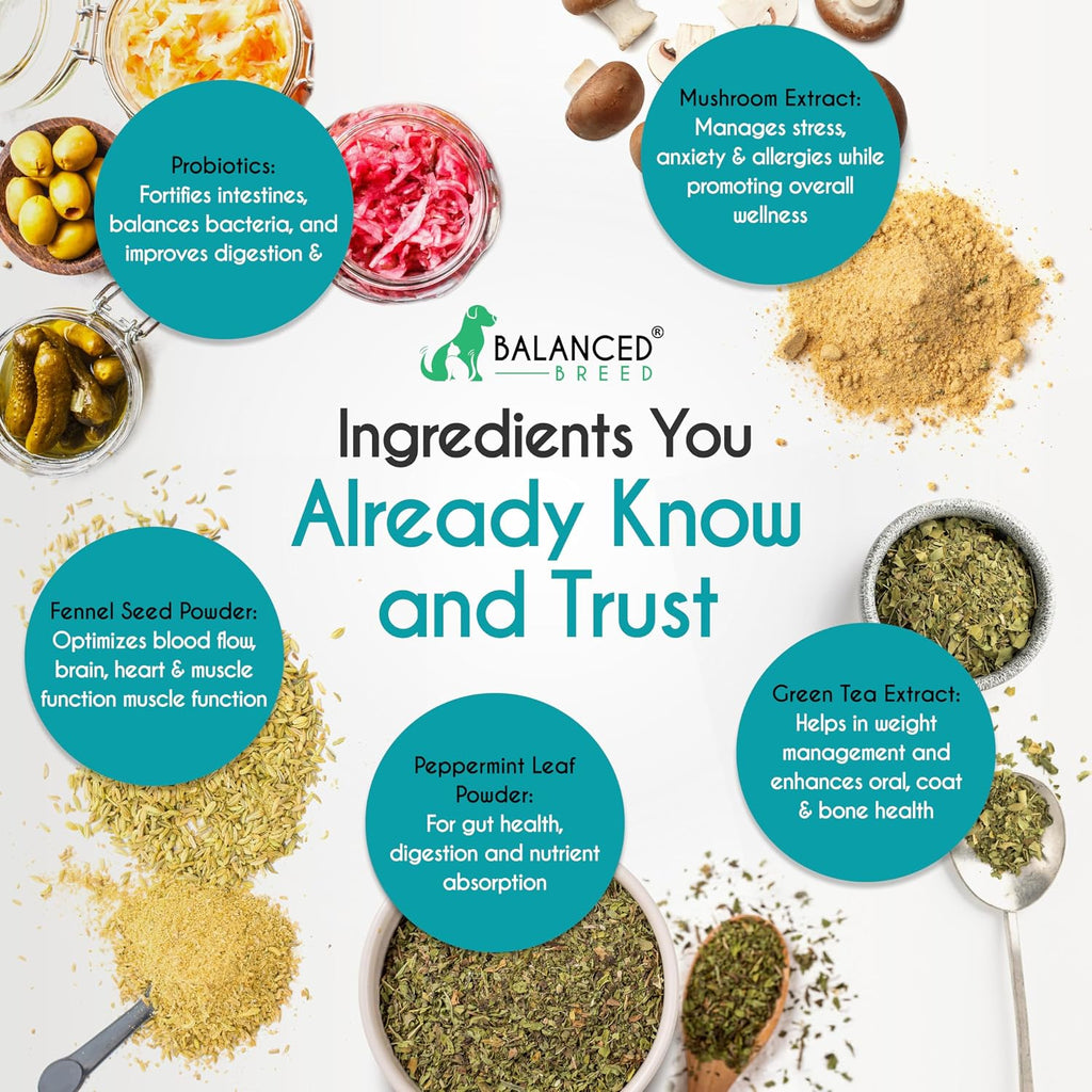 Balanced Breed Probióticos para Perros con Enzimas Digestivas