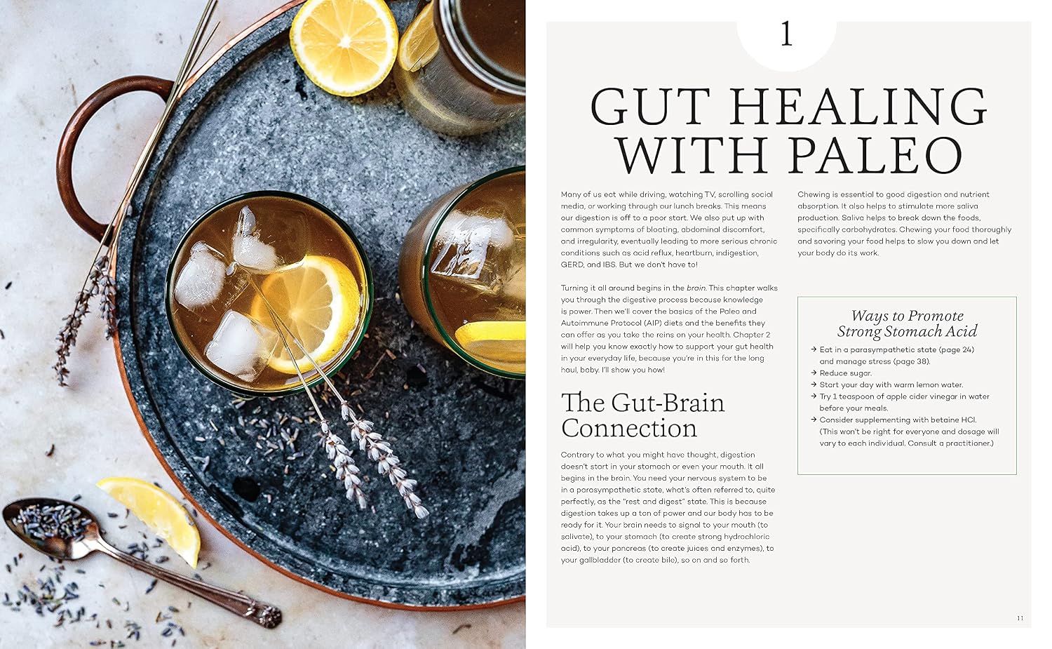 The Paleo Gut Healing Cookbook: 75 Recetas Paleo + AIP y 10 Prácticas para Fortalecer la Digestión