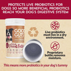 Good Guts Probiotics for Dogs – Probiótico en Polvo para Perros Medianos, 6B UFC, Enzimas y Prebióticos