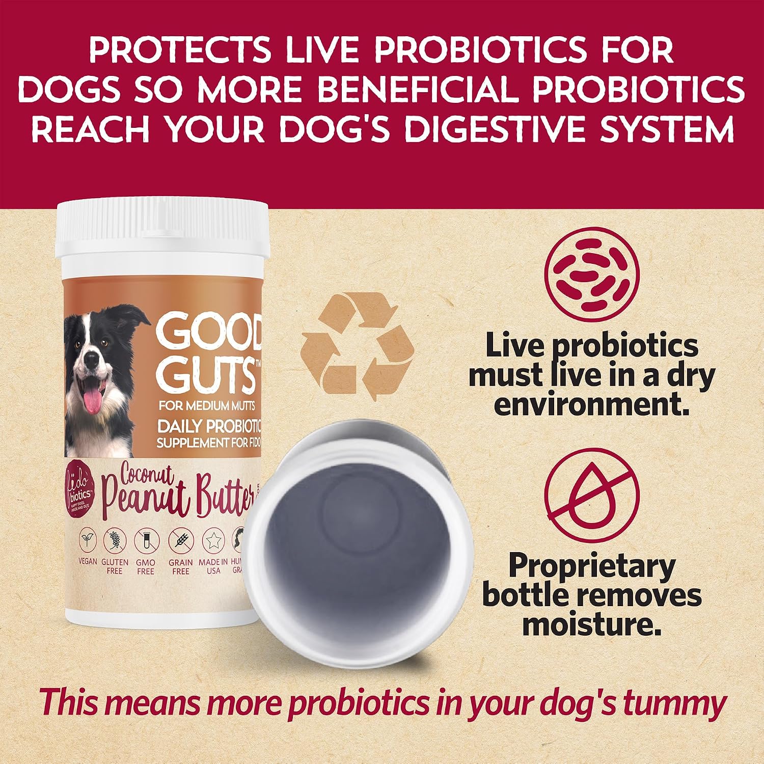 Good Guts Probióticos para Perros – Polvo Digestivo con 12B UFC, Enzimas y Prebióticos