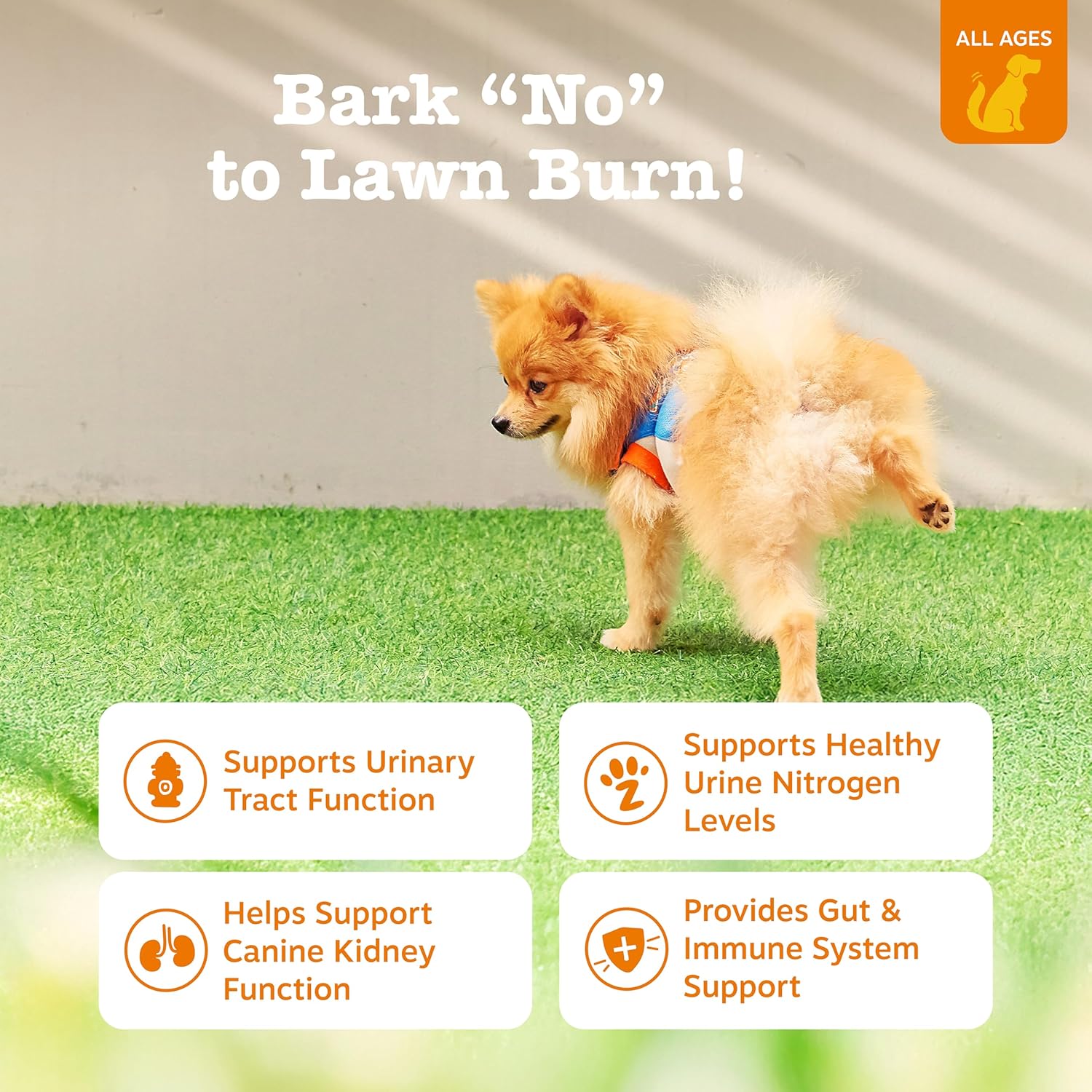 Zesty Paws Stay Green Bites - Snacks blandos para perros - Reduce manchas de césped - 90 unidades