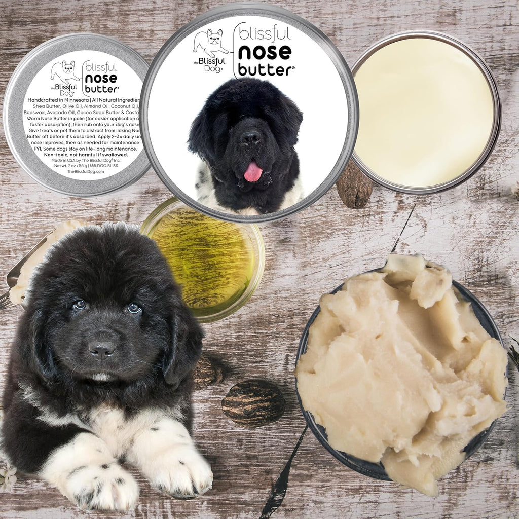 The Blissful Dog Landseer Newfoundland Nose Butter - Bálsamo Nasal Natural para Perros, Sin Fragancia, 2 oz