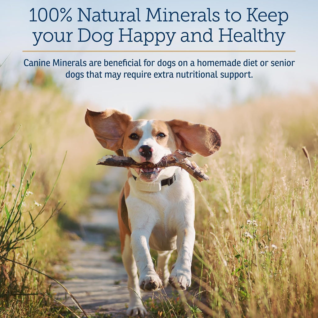 Rx Vitamins Canine Minerals - Minerales Esenciales para Perros - Calcio, Magnesio, Hierro - 454 g
