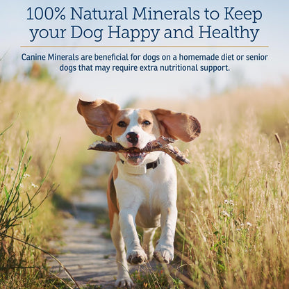Rx Vitamins Canine Minerals - Minerales – Magnesio: necesario para la función muscular, nerviosa y cardiovascular. – Image 2
