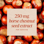 Nature's Way Horse Chestnut Extract, Premium, Standardized to 20% Aescin, Vegan, Gluten-Free, 90 Capsules