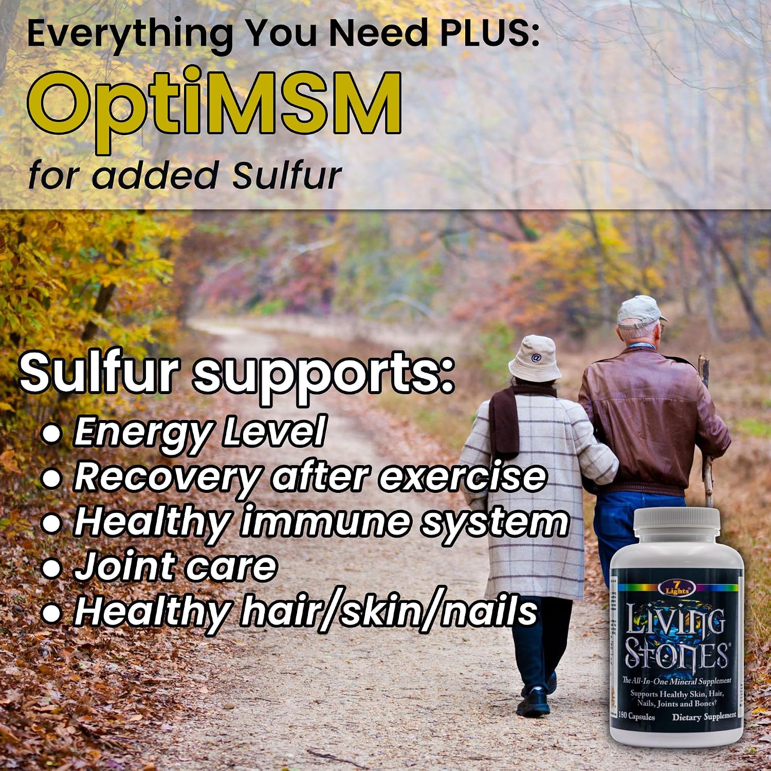 Living Stones, Suplemento Mineral Completo con Zinc, Calcio, Magnesio, Selenio, MSM y Shilajit (180 Cápsulas)