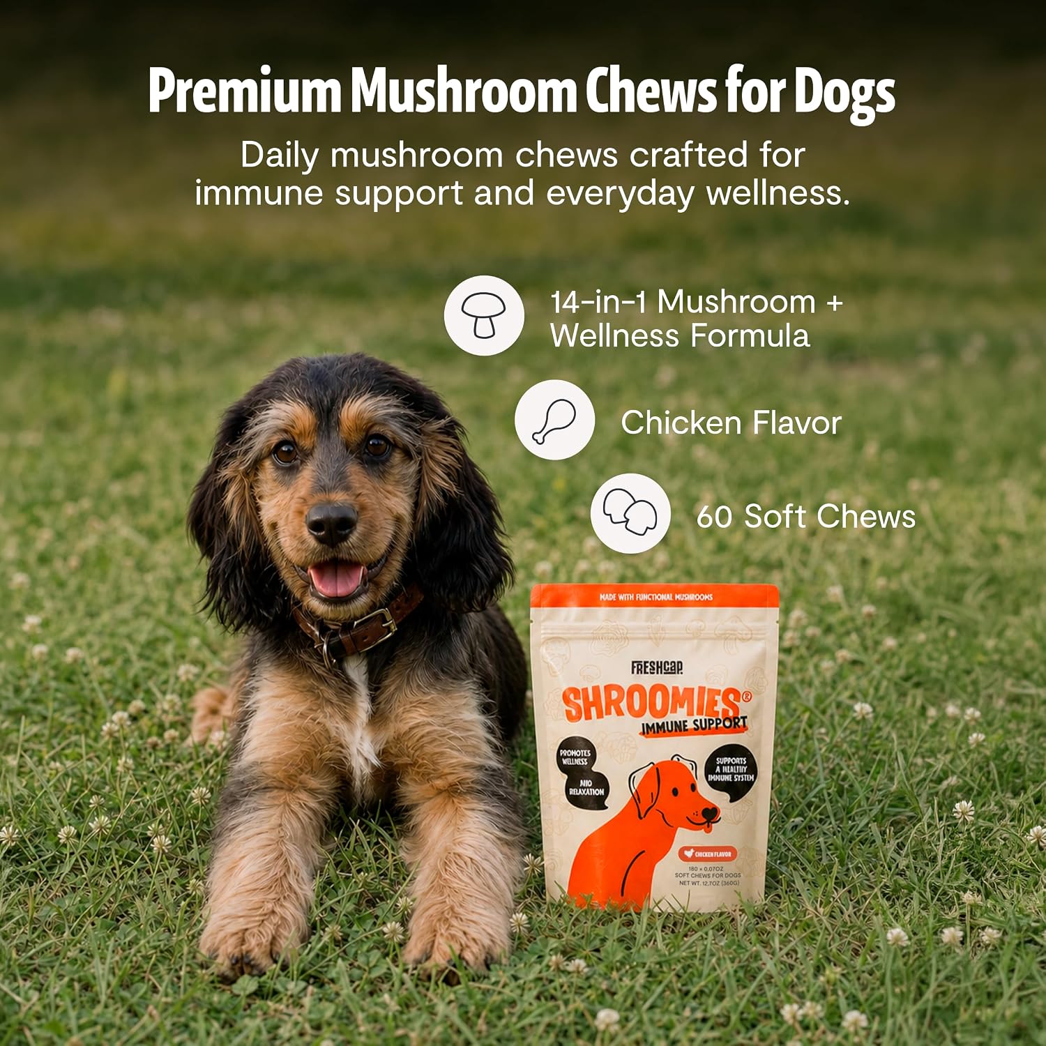 FreshCap Shroomies: Suplemento de setas para perros, 180 uds