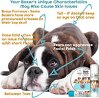 The Blissful Dog Tubo de .50 oz Mantequilla Booboo Boxer