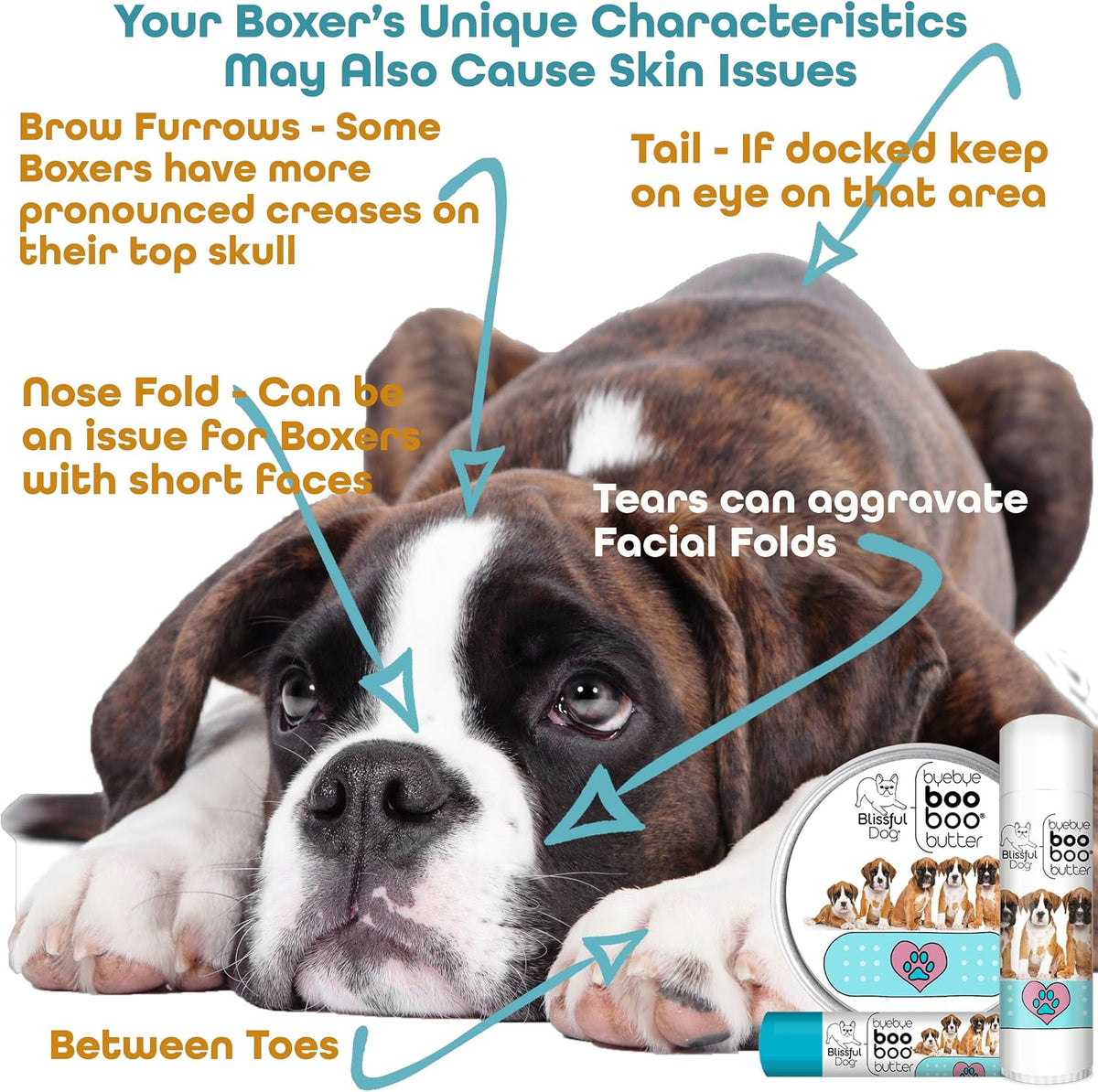 The Blissful Dog .15 oz Tube Boxer Booboo – Infusiones de manzanilla, hipérico, consuelda y caléndula: Aportan – Image 6