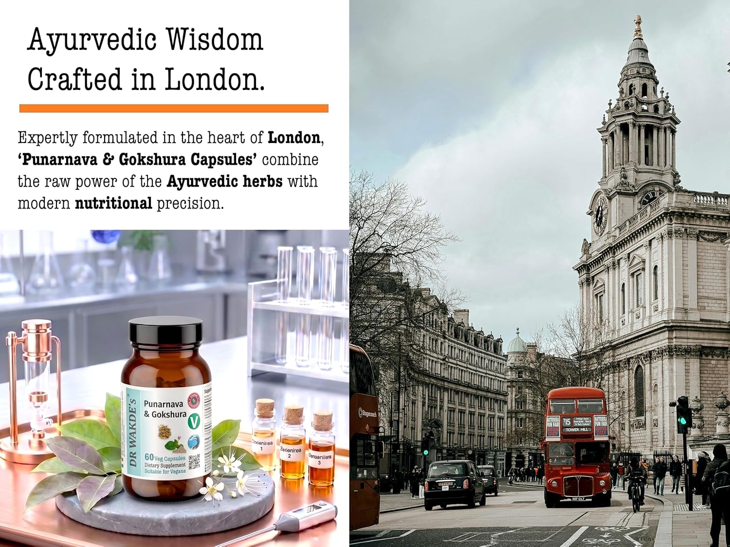 DR WAKDE'S Punarnava and Gokshura Capsules - 60 Cápsulas Veganas