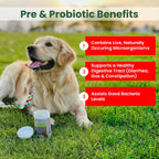 PawMedica Probióticos y Enzimas Digestivas para Perros - 120 Comprimibles Masticables