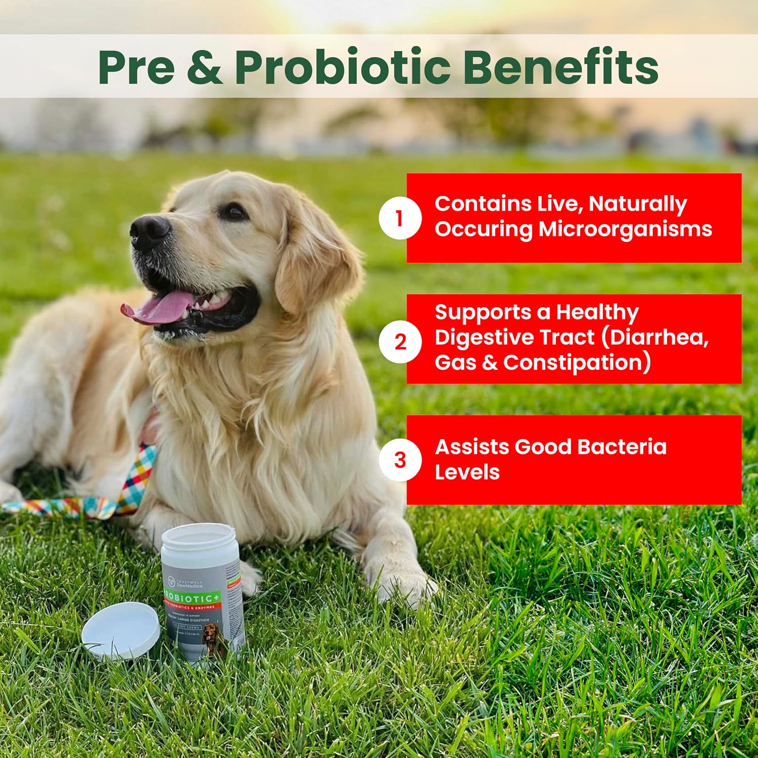 PawMedica Probióticos y Enzimas Digestivas para Perros - 120 Comprimibles Masticables