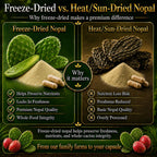 Natural Home Cures Cápsulas de Nopal Liofilizado, 500 mg, 120 Cápsulas Veganas (4 Envases)