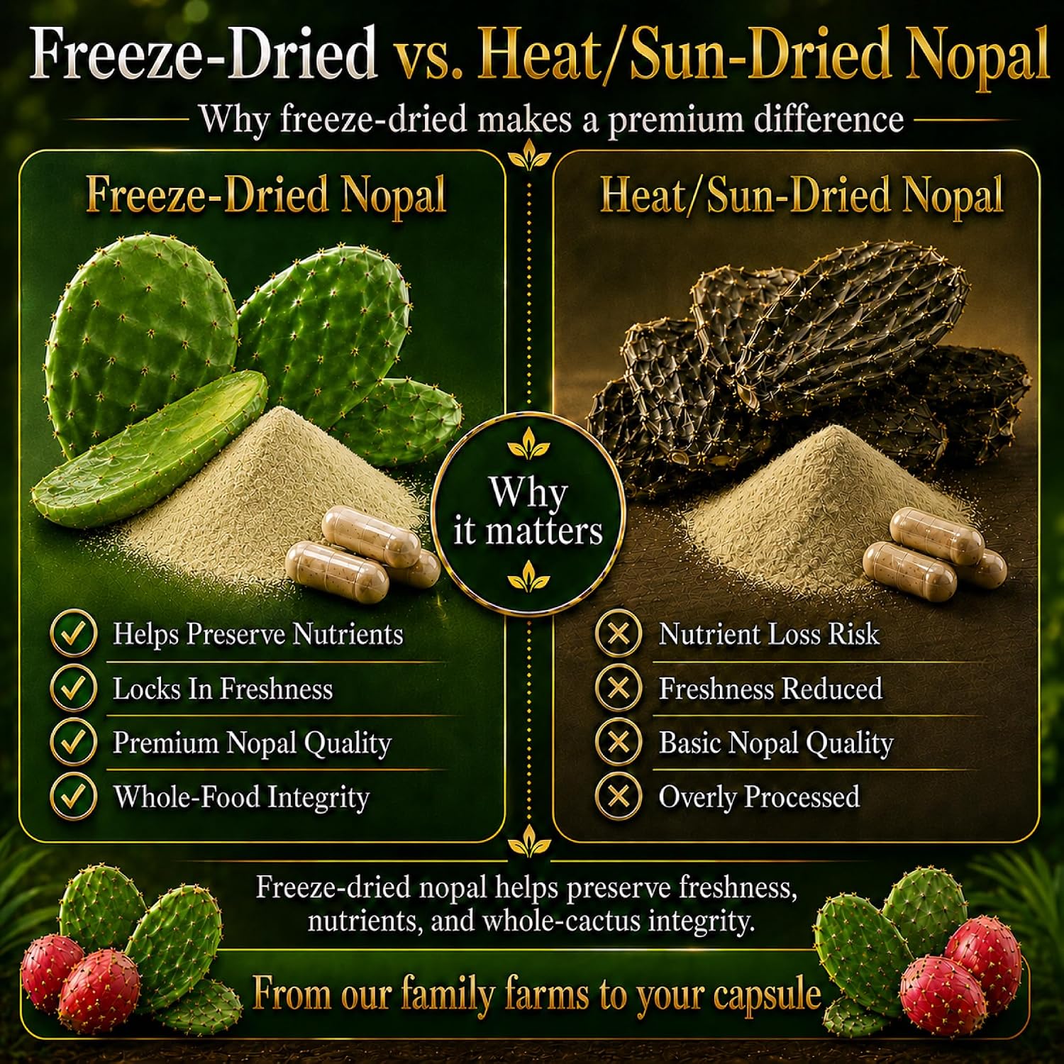 Natural Home Cures Cápsulas de Nopal Liofilizado, 500 mg, 120 Cápsulas Veganas (4 Envases)