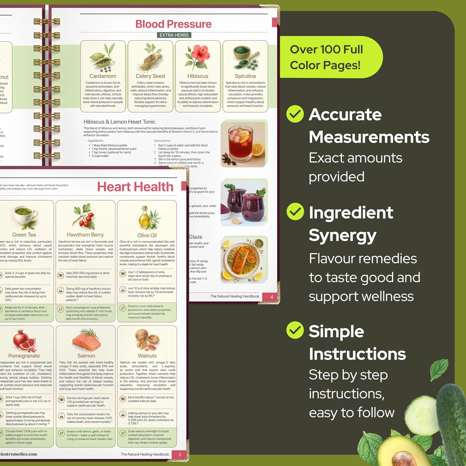 The Natural Healing Handbook: Guía de remedios herbales y recetas naturales