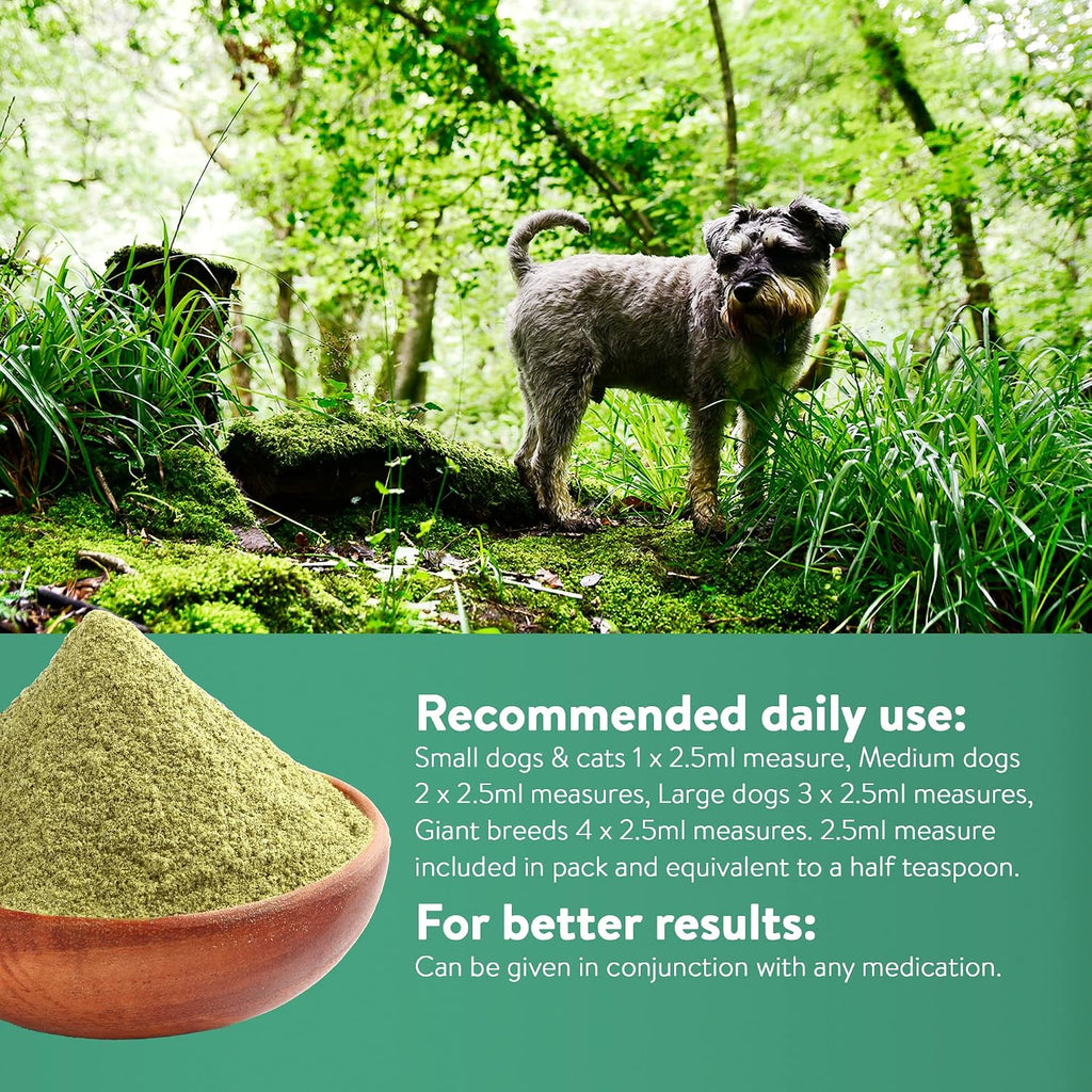 Green Powder Supplement - Suplemento Herbario para Perros y Gatos