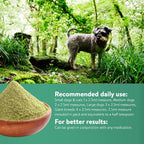 Green Powder Supplement - Suplemento Herbario para Perros y Gatos