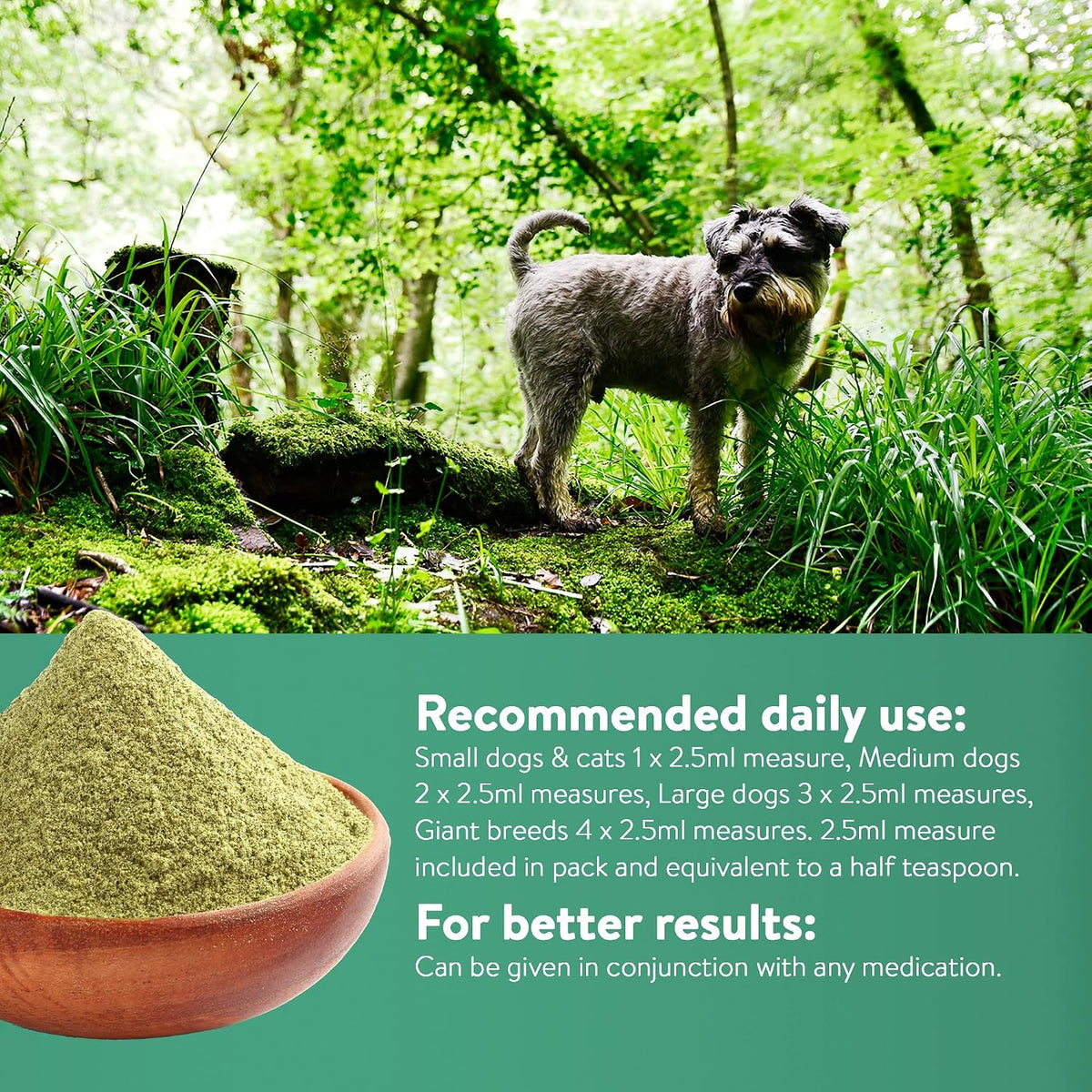 Green Powder Supplement - Suplemento Herbario para Perros y Gatos – Image 7