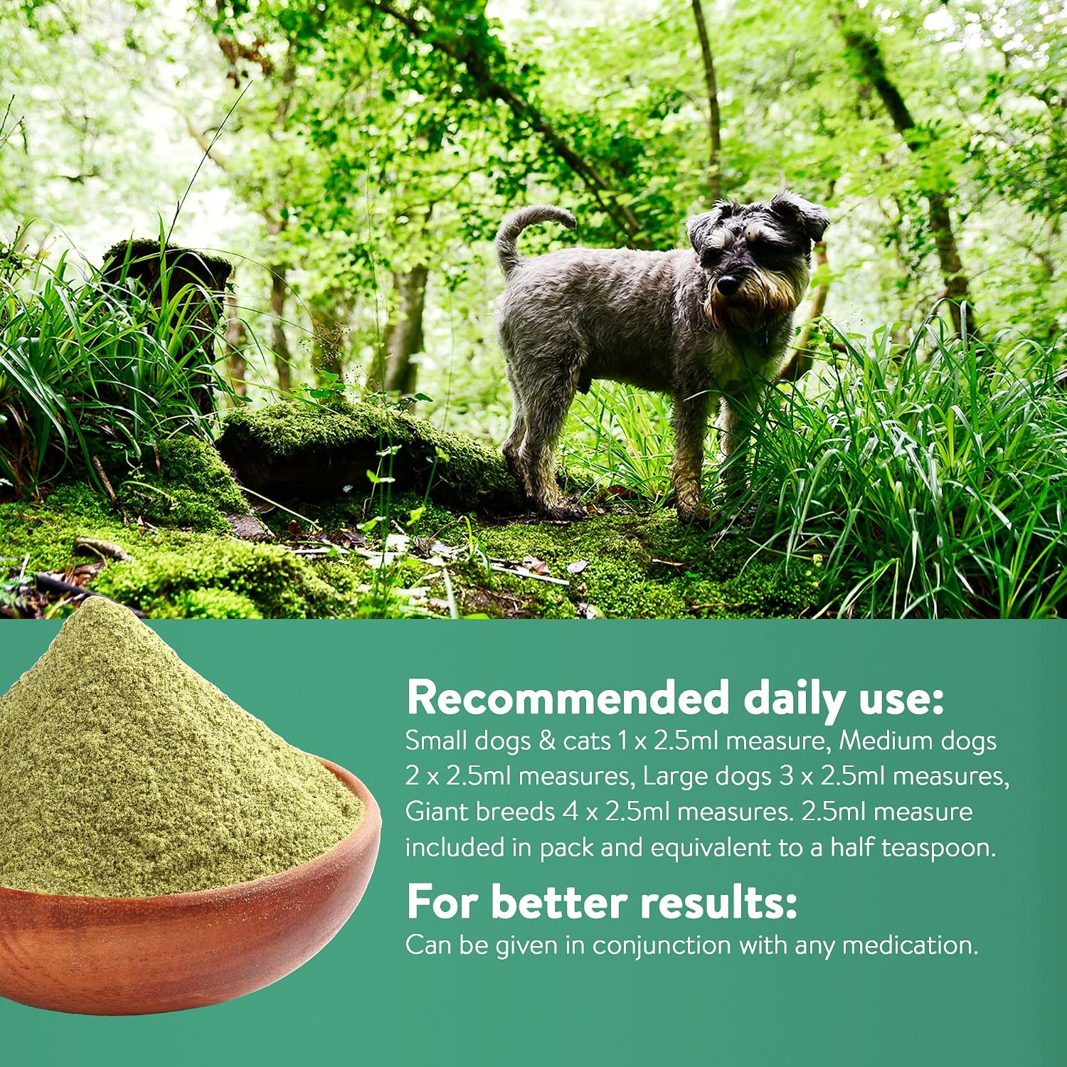 Green Powder Supplement - Suplemento Herbario para Perros y Gatos