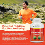 Purely Holistic Vitamina B2 Riboflavina 400mg - 240 Cápsulas Veganas, Suministro para 8 Meses - Alta Potencia - No OGM y Sin Gluten - Apoya la Producción de Energía y la Salud Celular