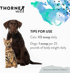 ThorneVet Polvo de Apoyo Inmunológico para Perros y Gatos - 90 Dosis