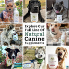 Canine Complete - Multivitamínico en Polvo para Perros (454g)