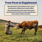 Holy Cow Health Cápsulas de Calostro Puro, Sin Diluir, Altamente Bioactivo - Origen Ético Nueva Zelanda - Apoya Salud Intestinal, Inmunidad y Bienestar