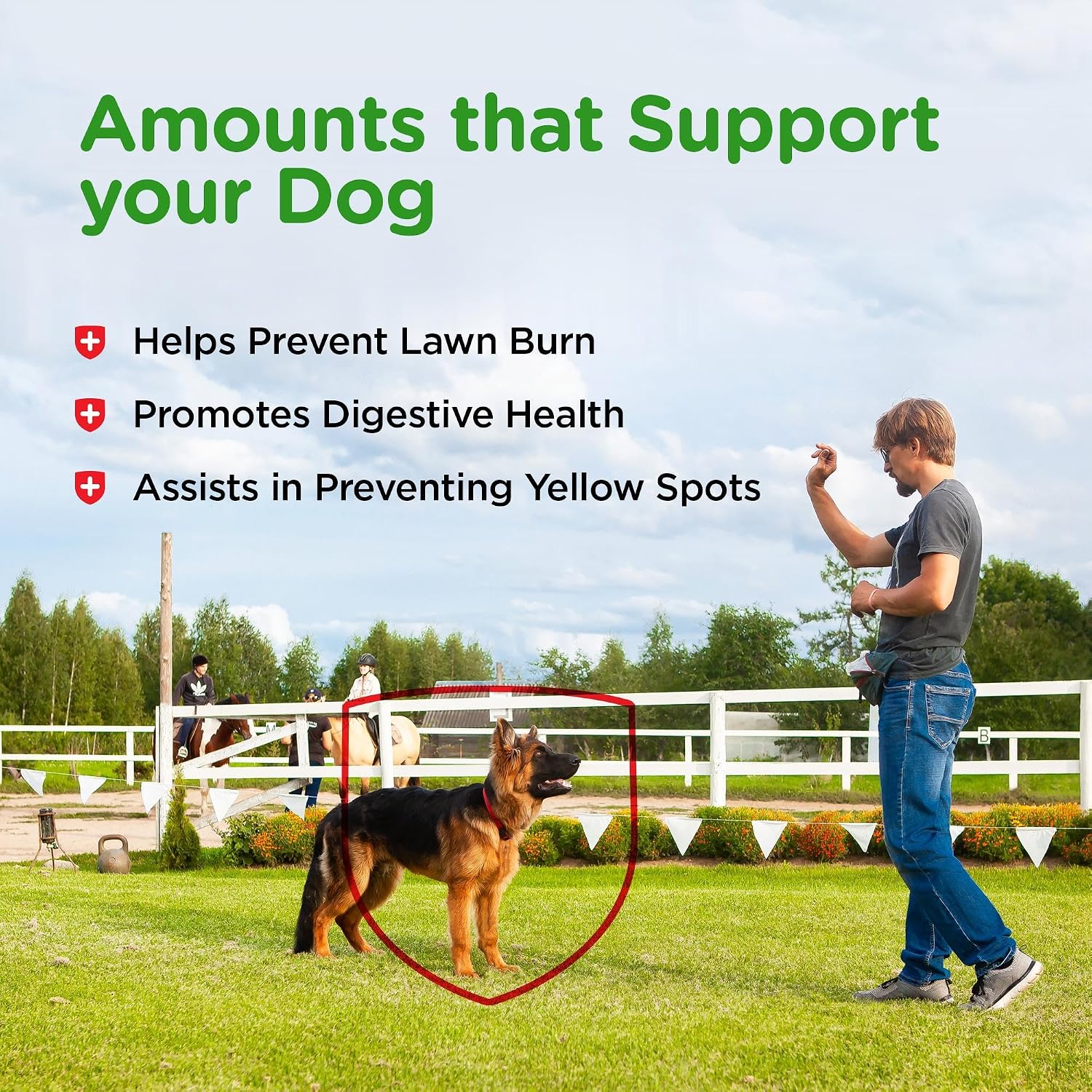 Nutri-Vet Grass Guard Masticables para Perros - 365 Comprimidos