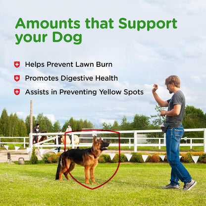Nutri-Vet Grass Guard Masticables para Perros - 365 Comprimidos – Image 5