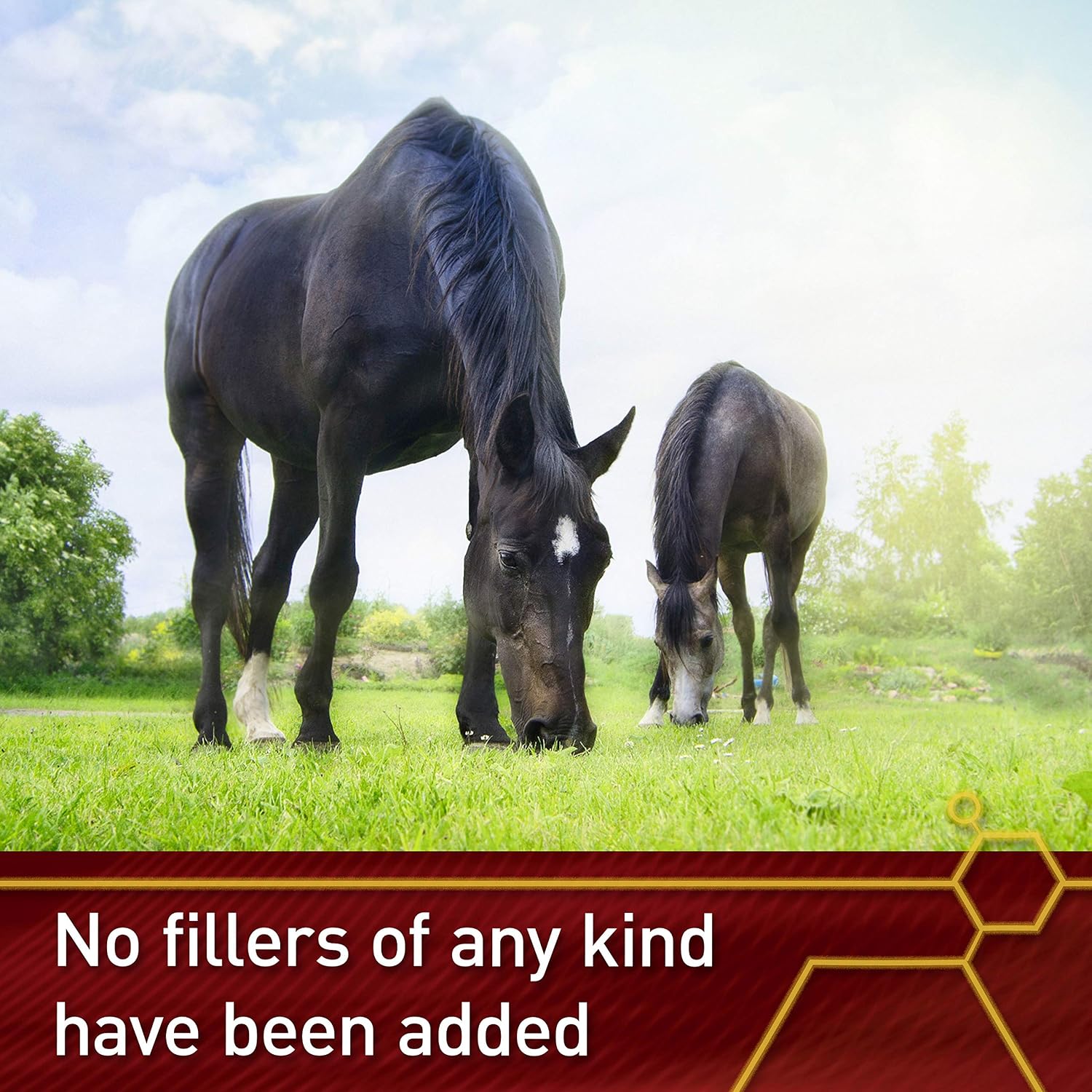 Vita Flex Pro Pure C Antioxidant – Suplemento de Vitamina C Pura para Caballos