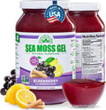 Gel de Musgo de Mar Irlandés Silvestre - Rico en Nutrientes - 1 Tarro
