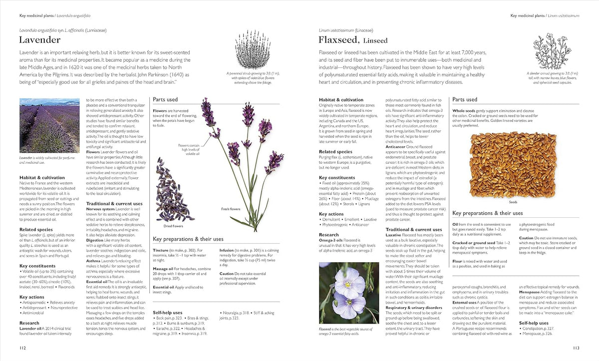 Encyclopedia of Herbal Medicine New Edition: – Busque su dolencia en el índice de remedios para encontrar las – Image 6