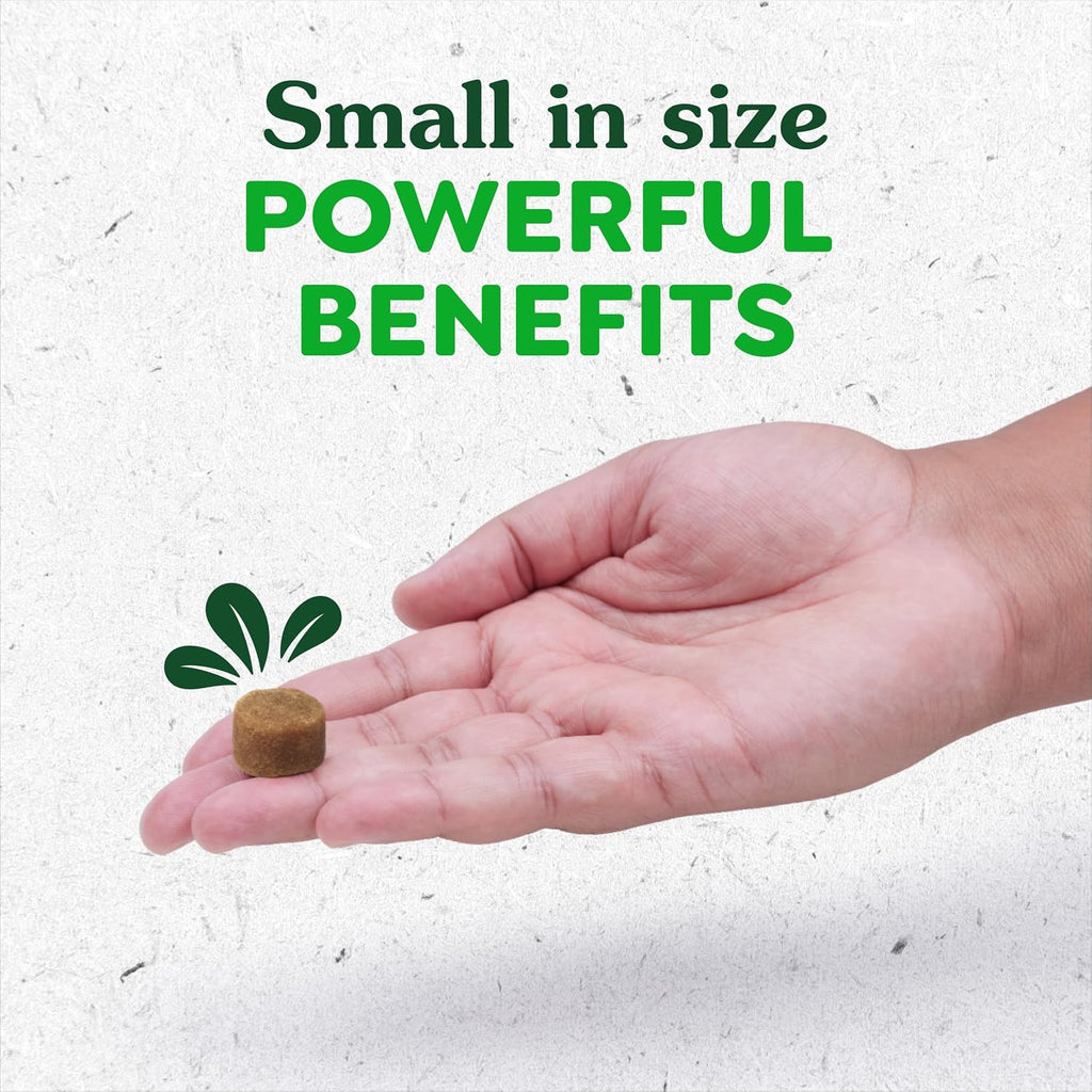 Greenies Supplements Sensitive Care Allergy & Immune Support - Snacks blandos para perros - Fórmula sin pollo - Sabor a mantequilla de cacahuete - Bolsa de 220 g (40 unidades)