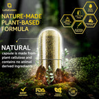 LetaGreen Cápsulas de Sea Moss 17 en 1 – Mezcla Multimineral con Ashwagandha y Vitaminas D3, K2 y C – 120 Cápsulas