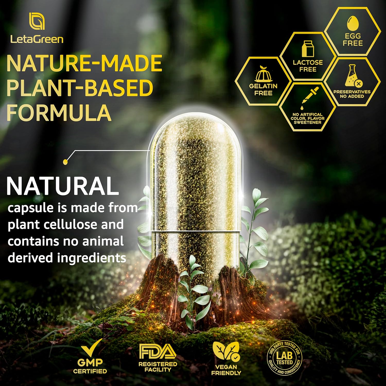 LetaGreen Cápsulas de Sea Moss 17 en 1 – Mezcla Multimineral con Ashwagandha y Vitaminas D3, K2 y C – 120 Cápsulas
