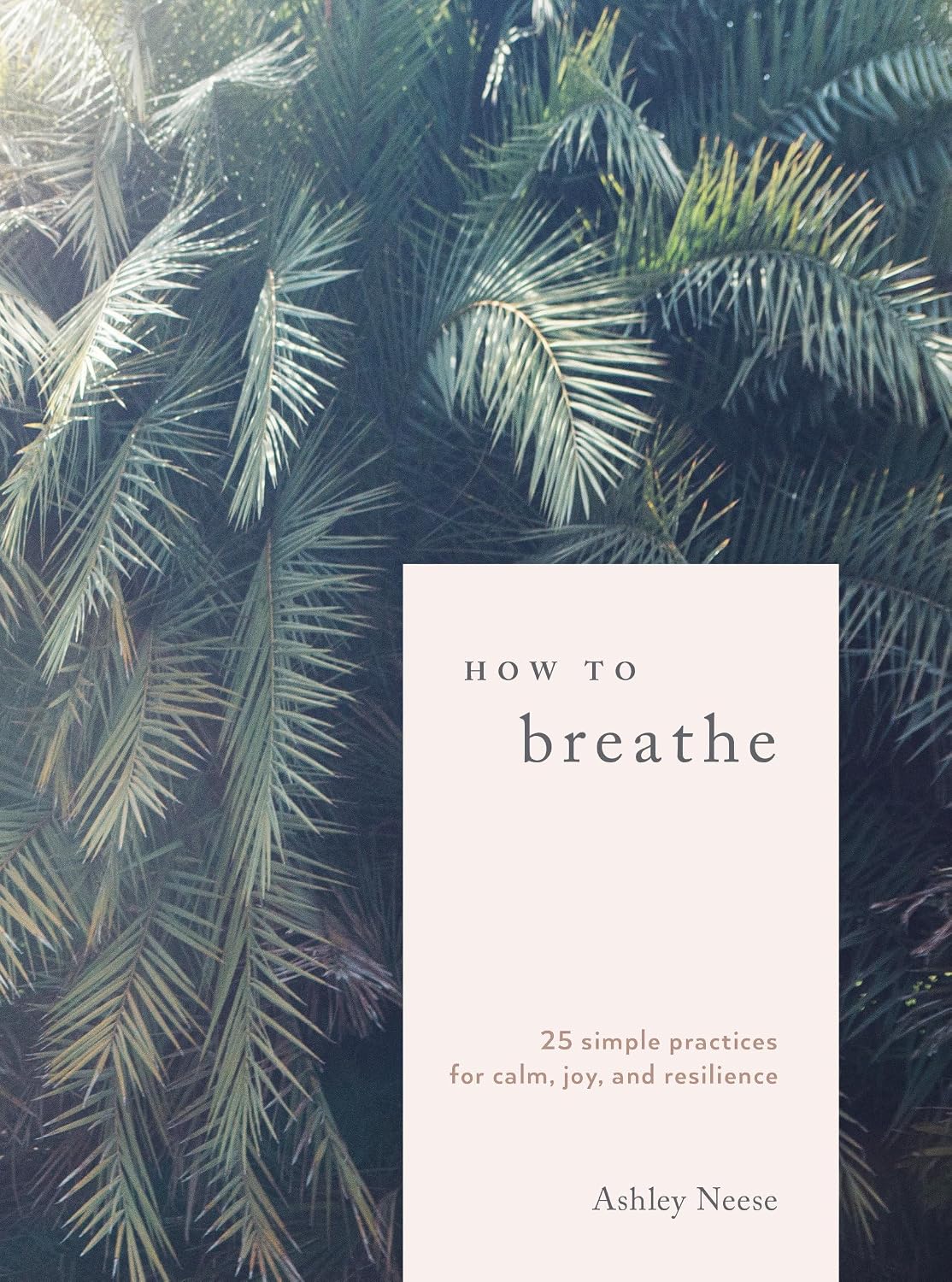 How to Breathe: 25 Prácticas Simples para la Calma, Alegría y Resiliencia