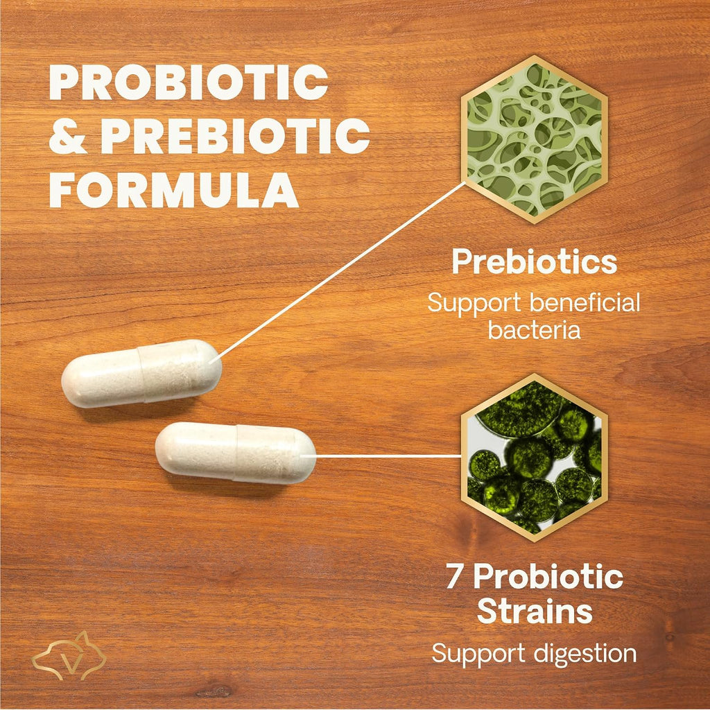 VetriScience Extra Strength Gut Health - Probiótico y Prebiótico para Perros y Gatos - 180 Cápsulas
