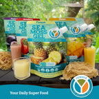 Yemayá Organic Gel de Musgo Marino Orgánico y Silvestre con Sabor a Fresa – 16 oz