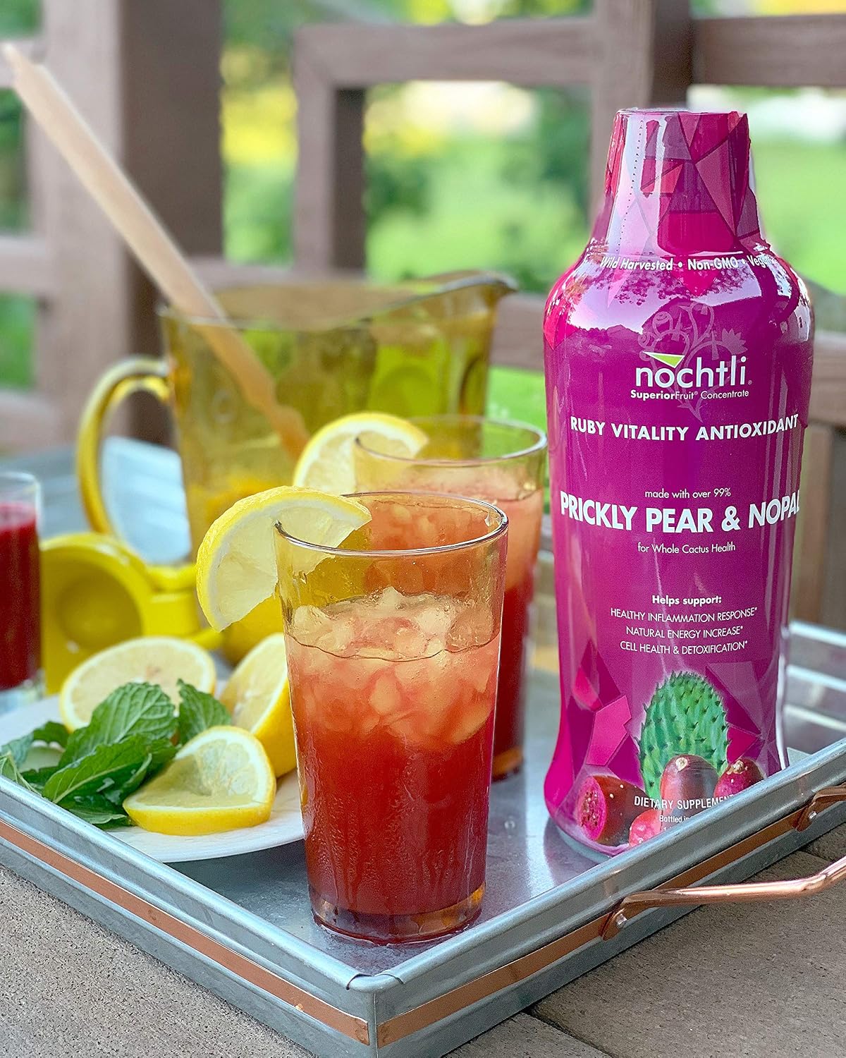 nochtli Recover Suplemento Líquido de Higo Chumbo y Nopal 1L (Pack de 4)